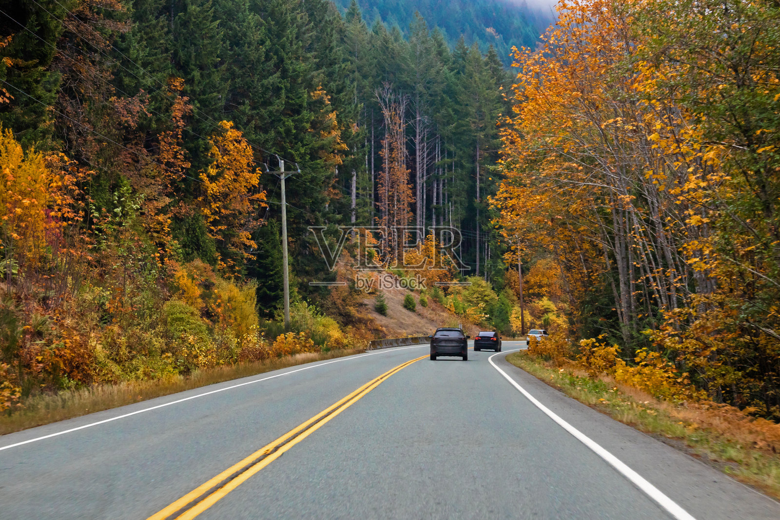 温哥华岛到太平洋海岸的山地公路照片摄影图片