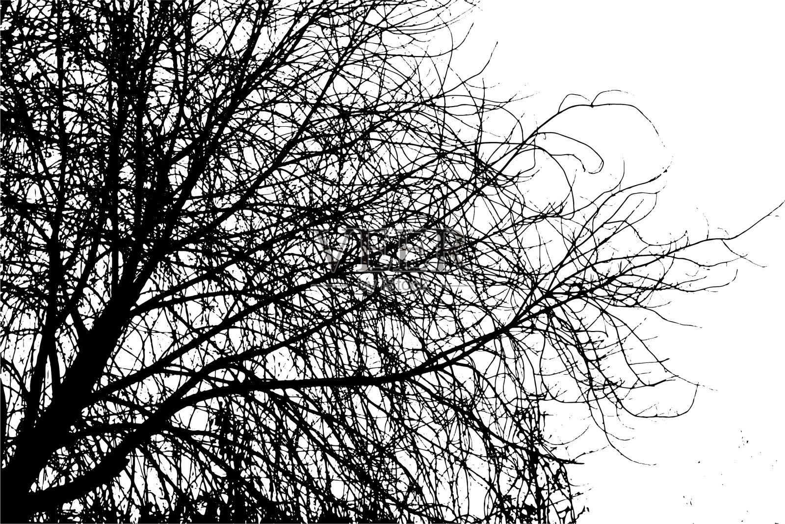 透明背景上的树枝剪影设计元素图片