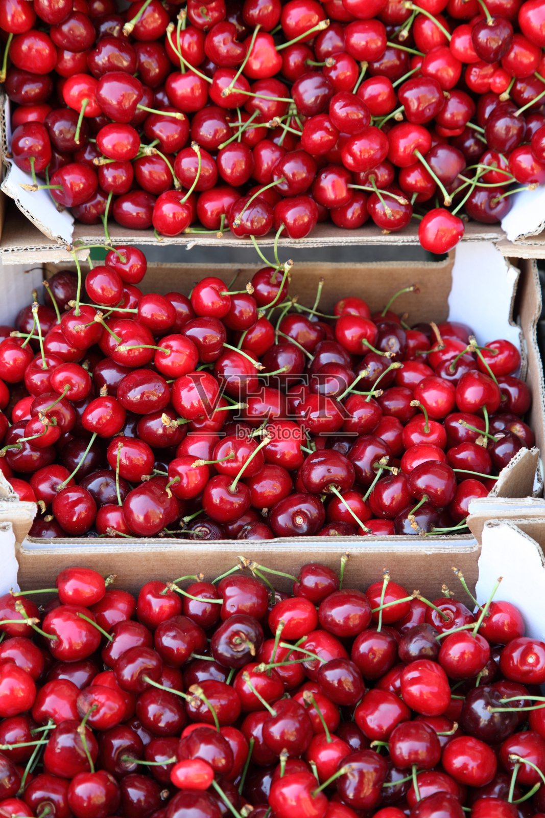 樱桃照片摄影图片