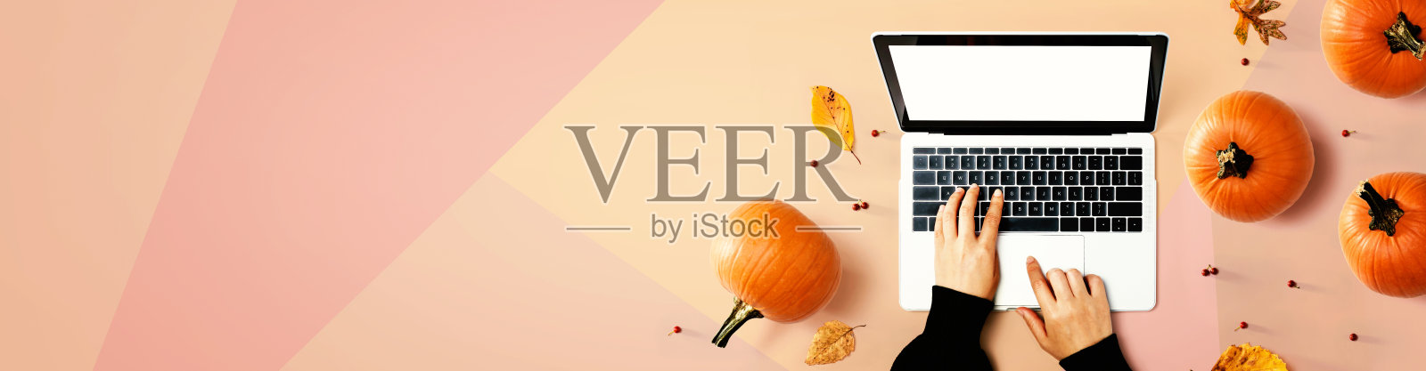 秋天南瓜与人使用笔记本电脑照片摄影图片