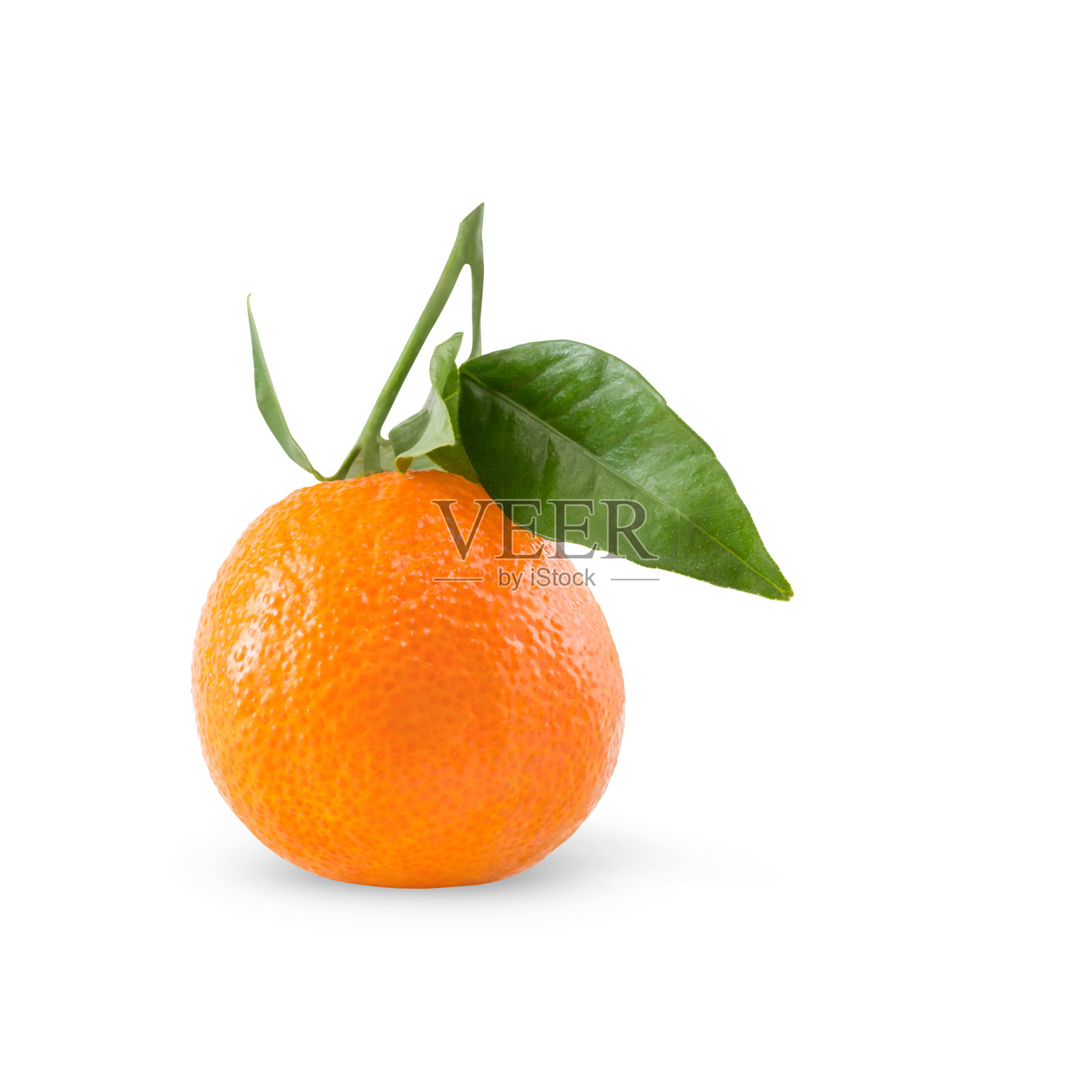 橙色带着绿色细枝，白色上有阴影照片摄影图片