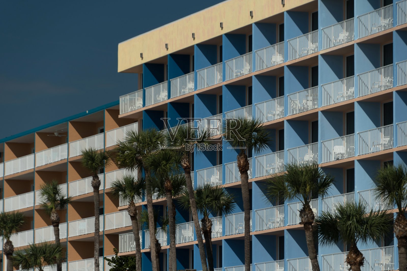 Clearwater附近的高大棕榈树和度假建筑- 2照片摄影图片