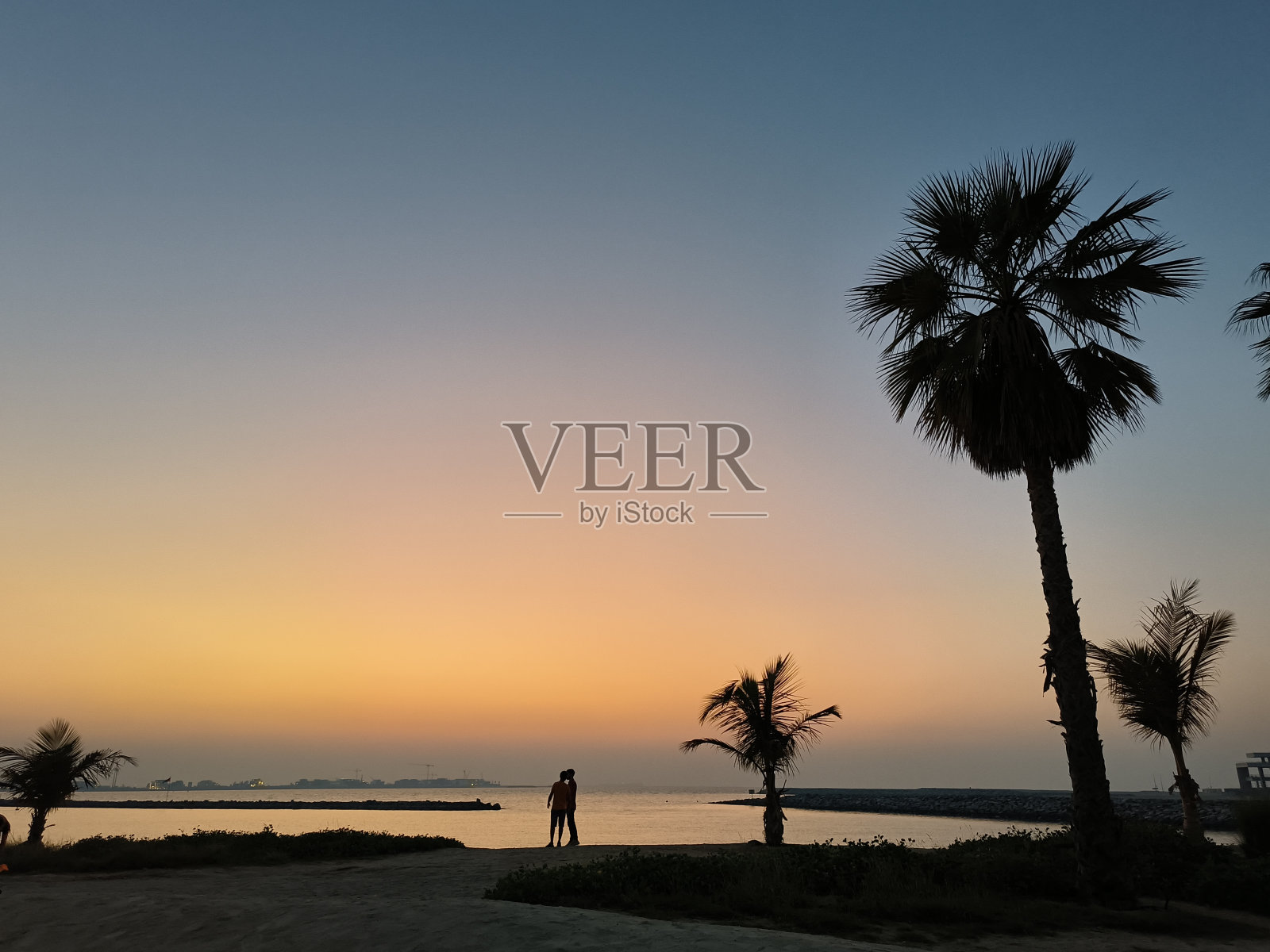 自然与友谊照片摄影图片