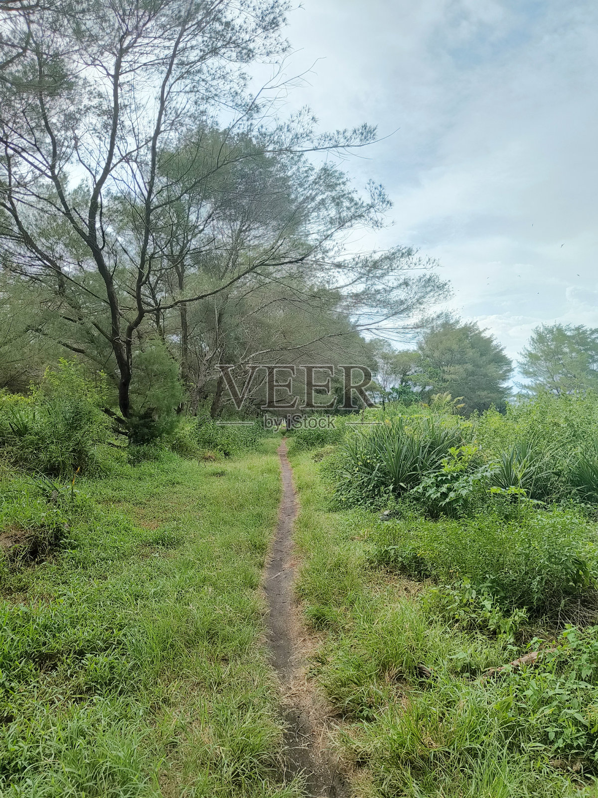 美丽的景色照片摄影图片