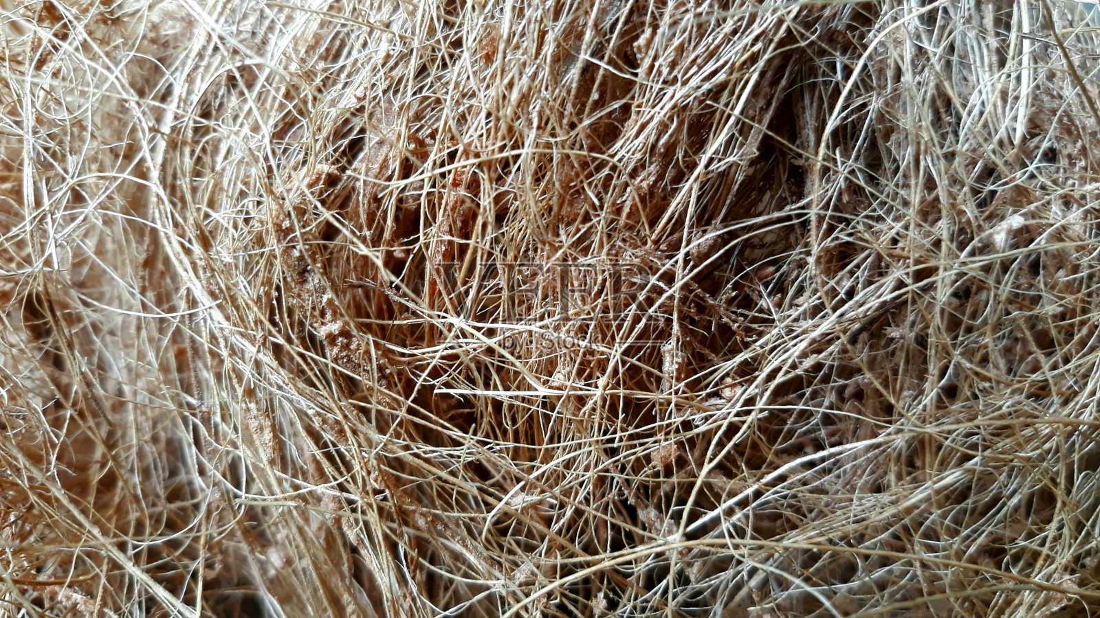 可可纤维照片摄影图片