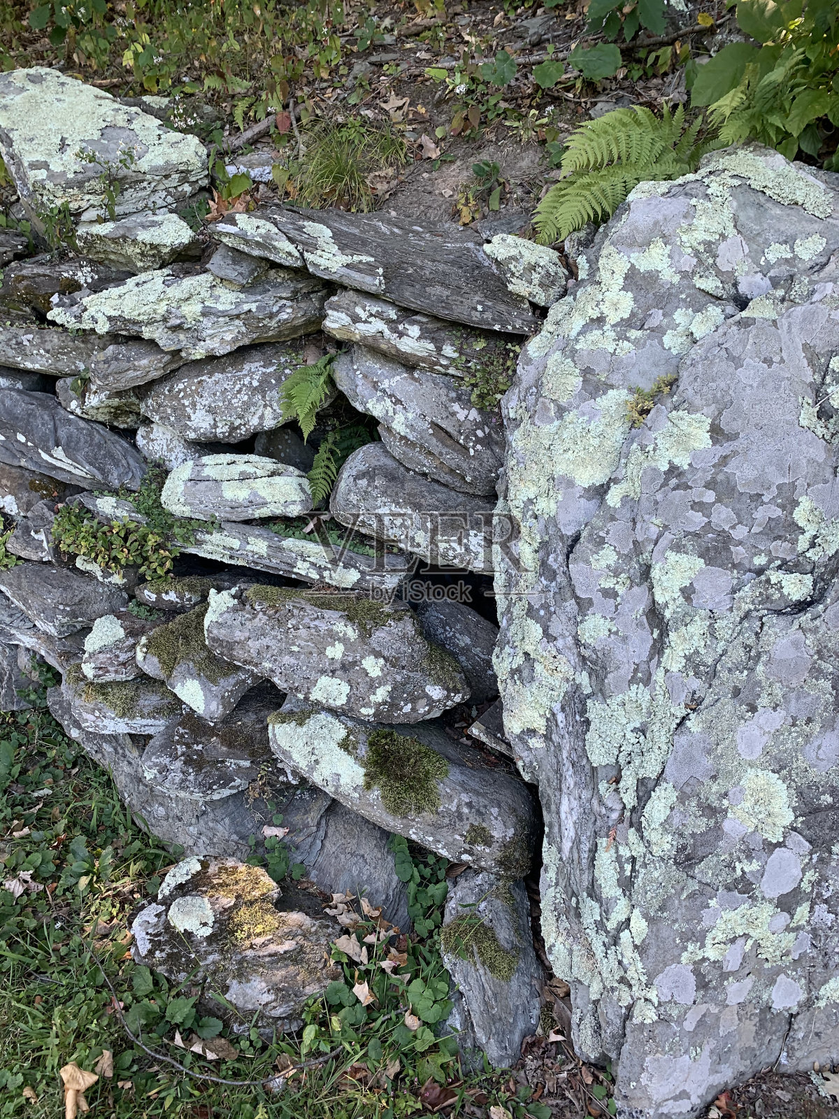 令人心寒的照片摄影图片