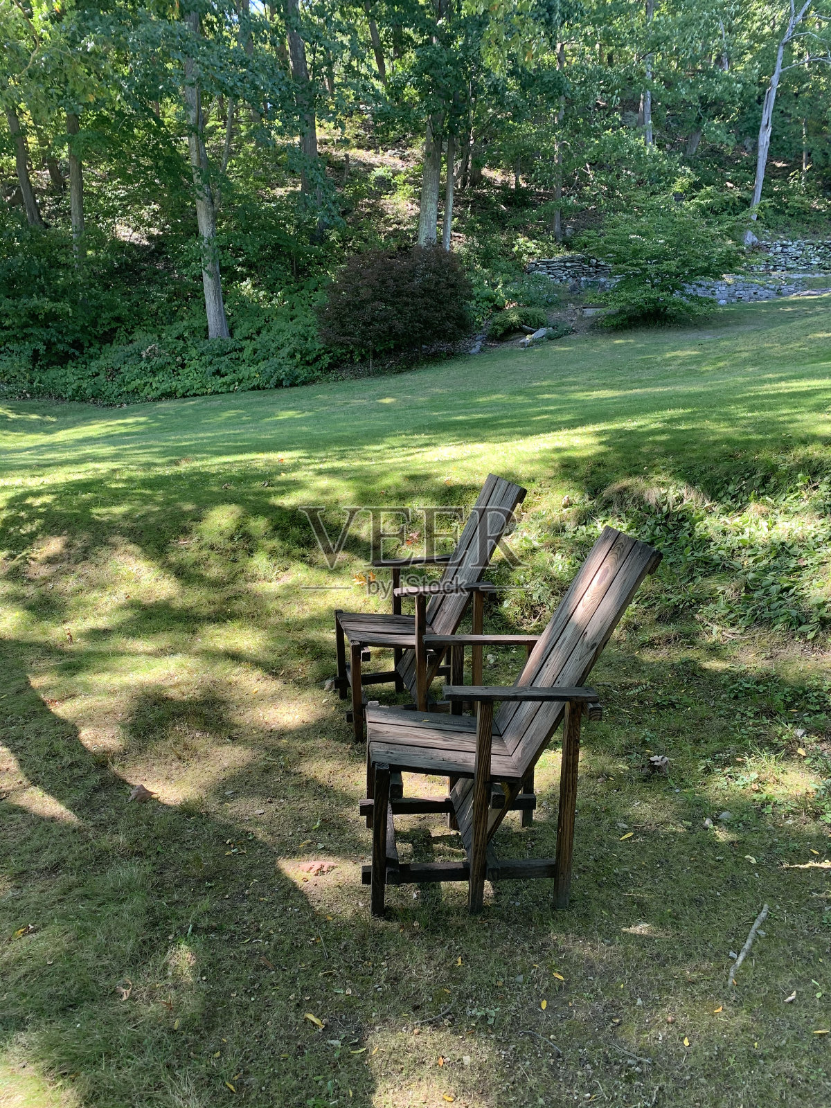 令人心寒的照片摄影图片