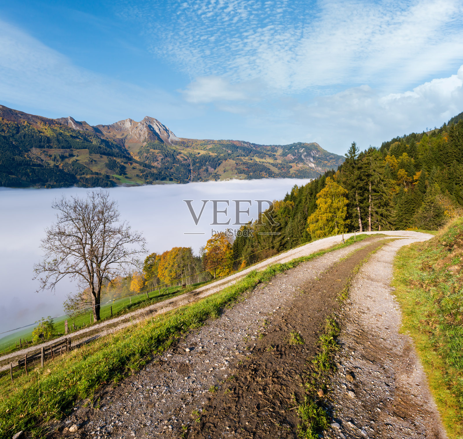 宁静的雾蒙蒙的秋日清晨，从多夫加施泰因徒步到奥地利萨尔茨堡的Paarseen湖。照片摄影图片