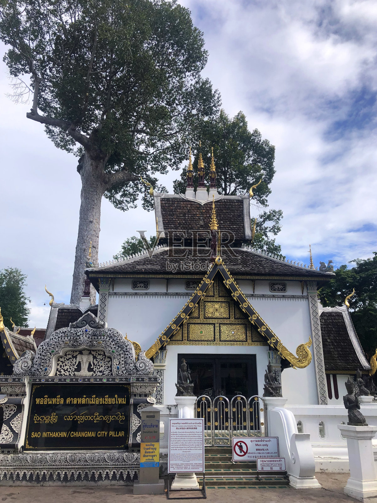 白庙大树照片摄影图片