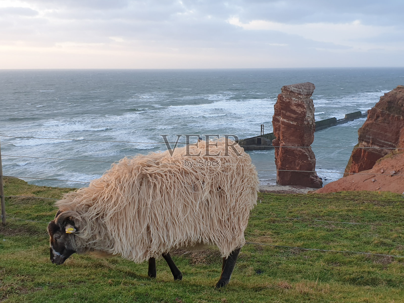 位于北海赫尔戈兰岛的地标性建筑“兰格安娜”照片摄影图片