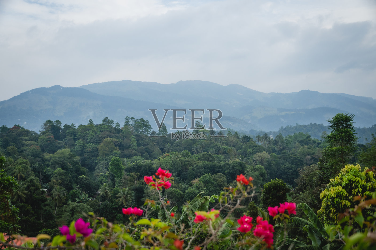 斯里兰卡康提的迷雾山脉。照片摄影图片