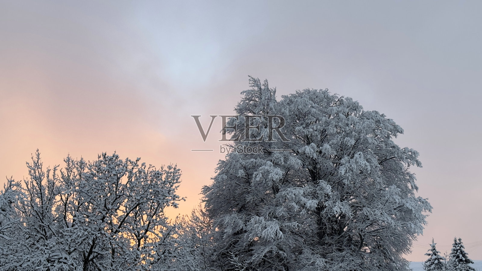 山上有雪原照片摄影图片