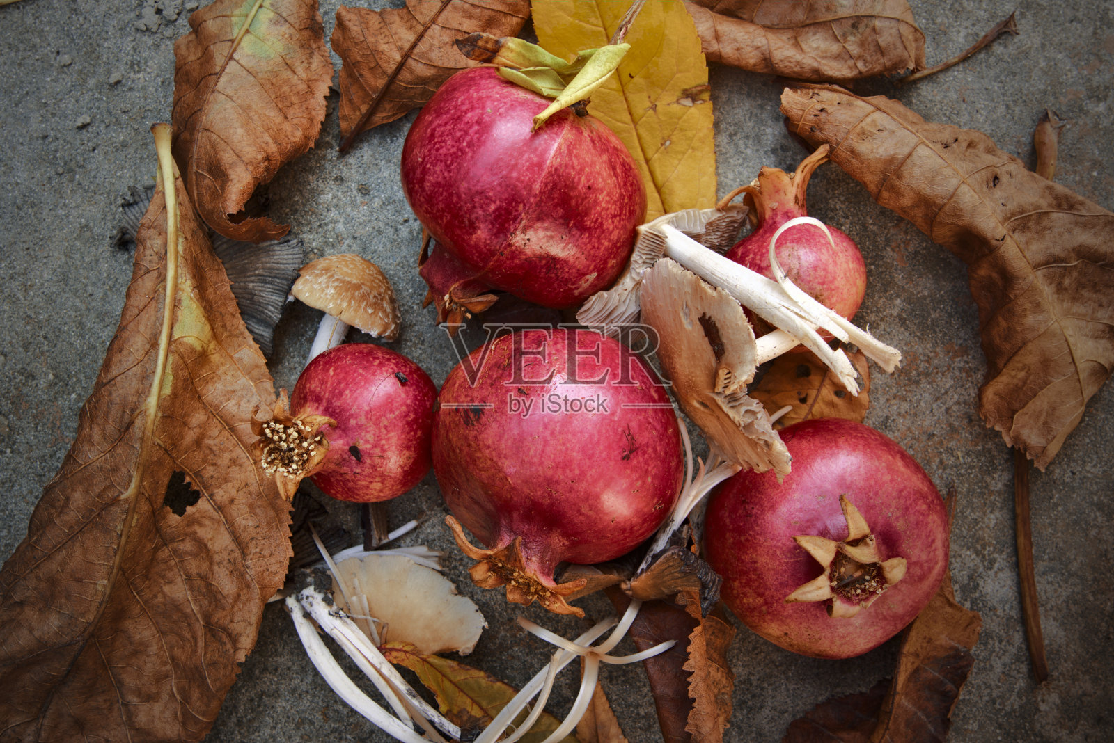 静物用石榴照片摄影图片