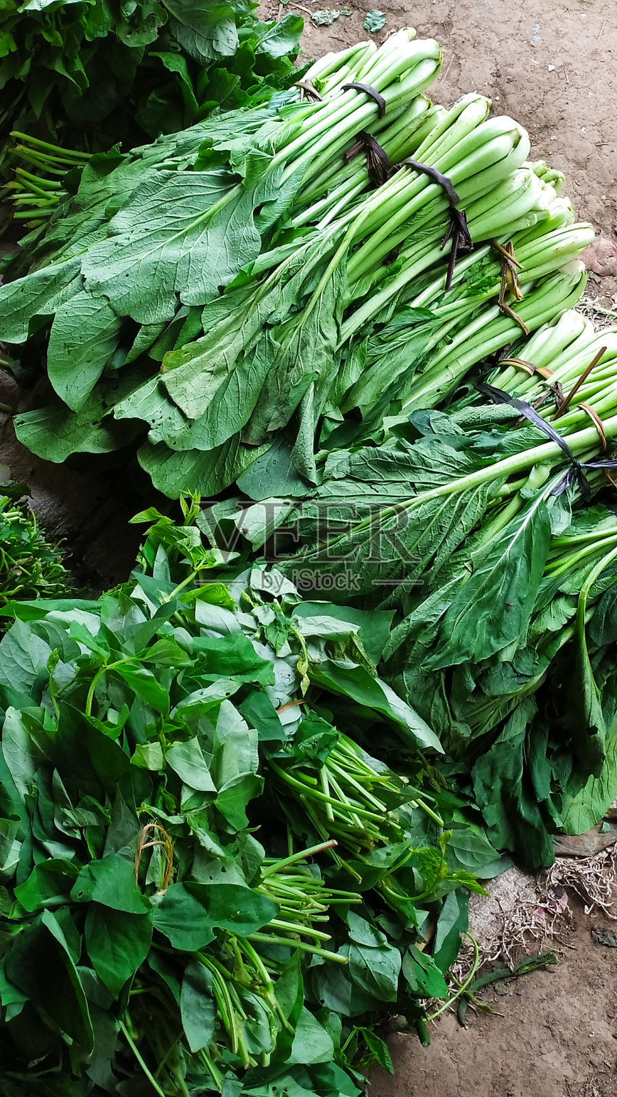 传统市场的芥菜和菠菜照片摄影图片