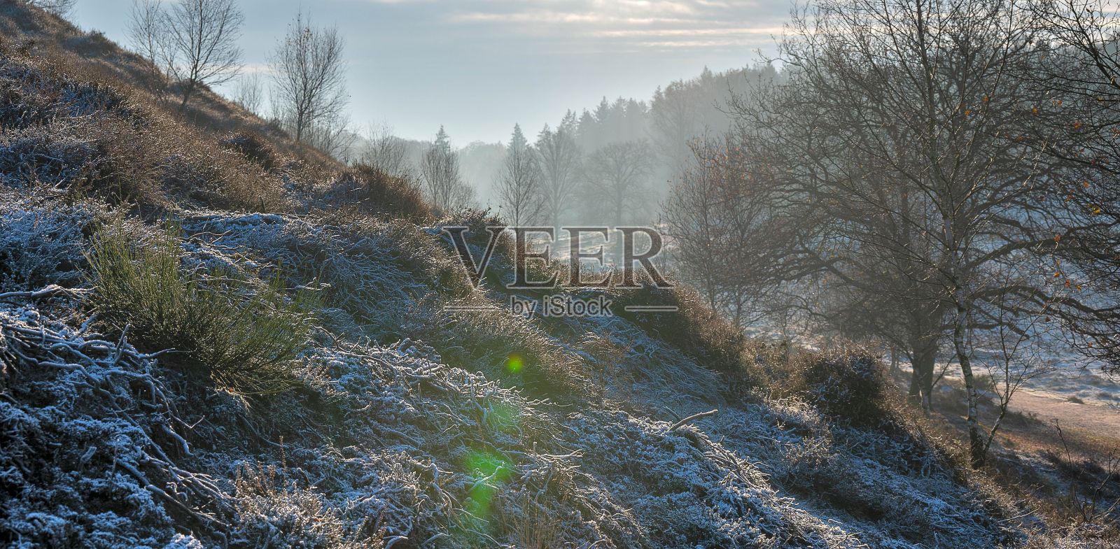 山坡上覆盖着雪和草在阳光明媚的天空下照片摄影图片