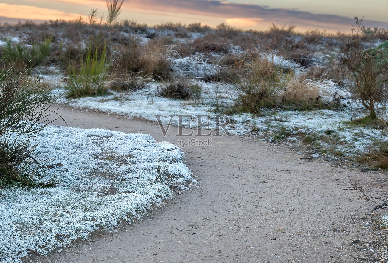 日出时，狭窄的道路在满是灌木丛的白雪覆盖的田野里照片摄影图片