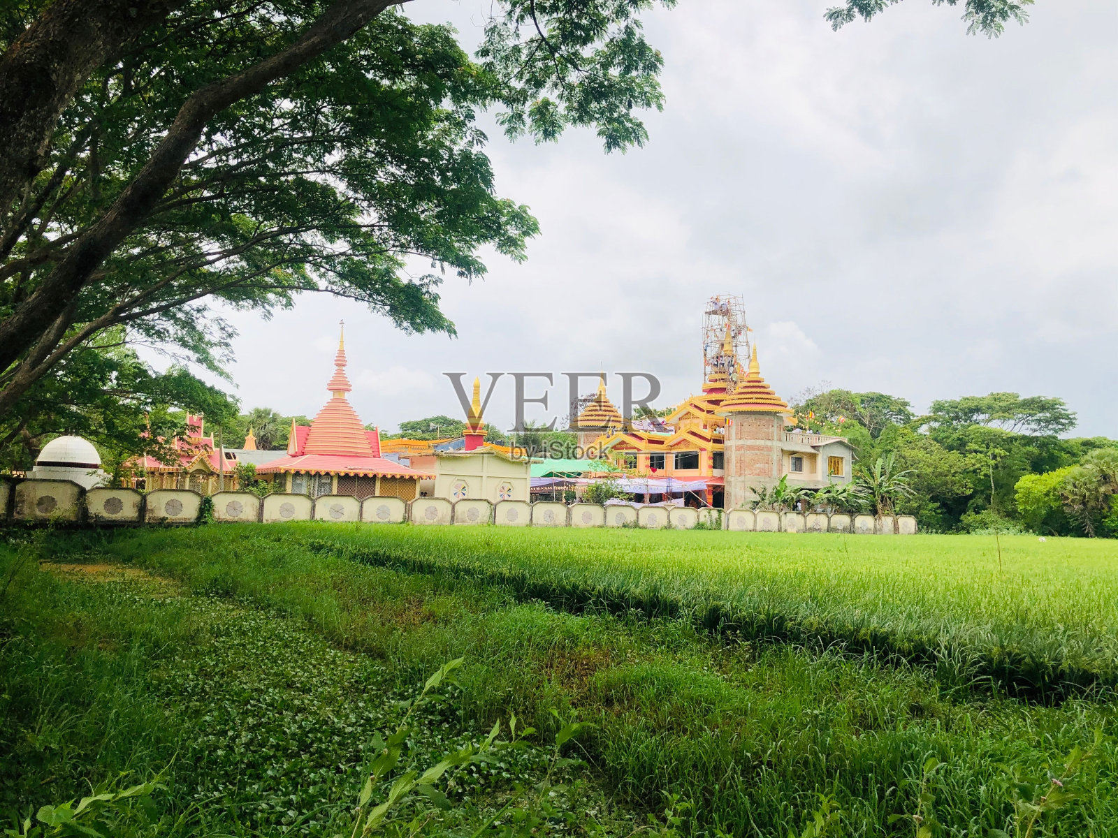 在孟加拉国吉大港的帕蒂亚，绿色草坪和树木映衬下的寺庙风景照片摄影图片