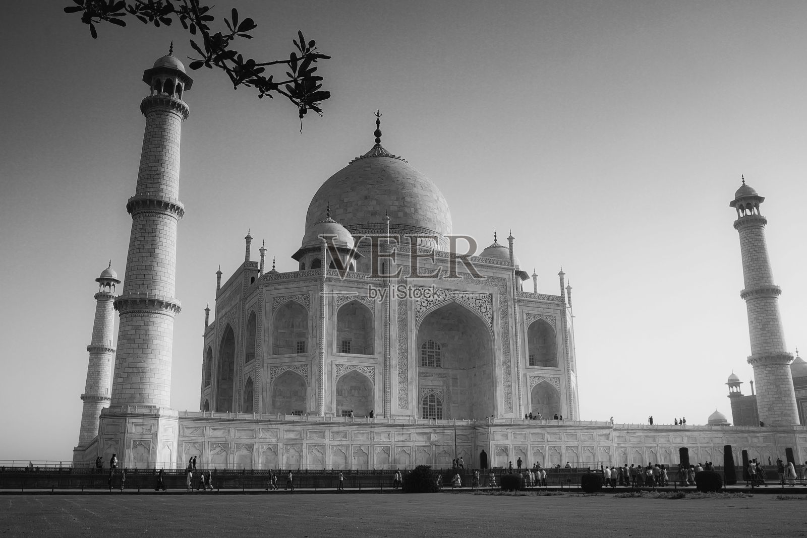 印度泰姬陵的低角度单色照片照片摄影图片
