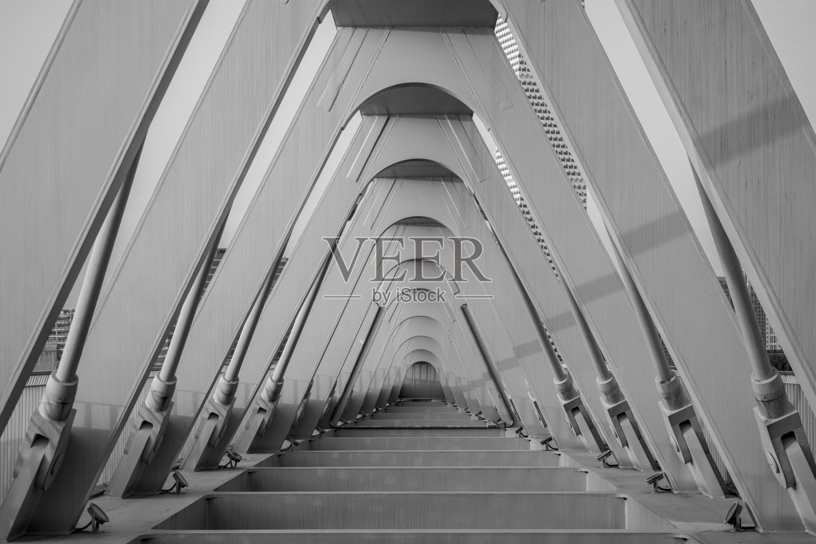 上海黄浦江上的新娘照片摄影图片