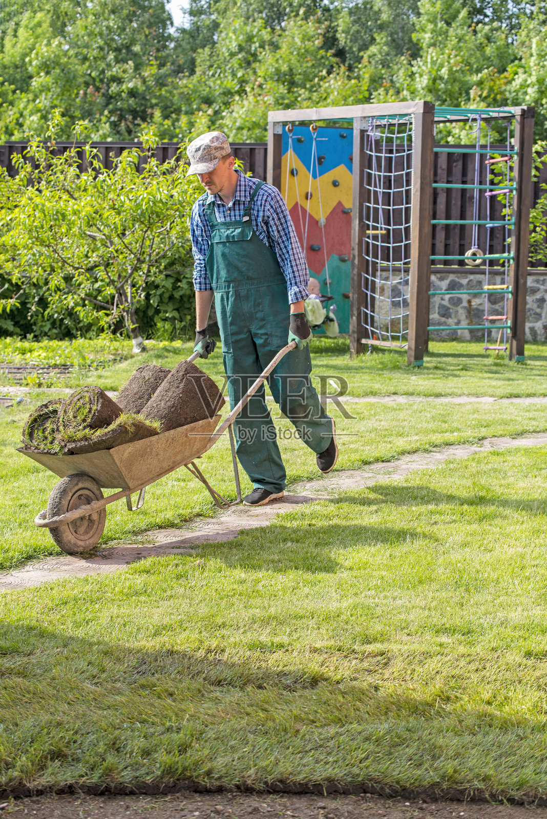 男子为新花园草坪铺设草皮卷照片摄影图片
