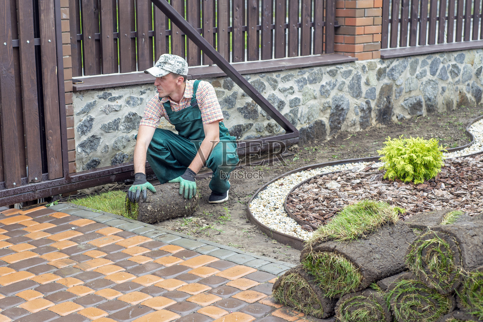 男子为新花园草坪铺设草皮卷照片摄影图片
