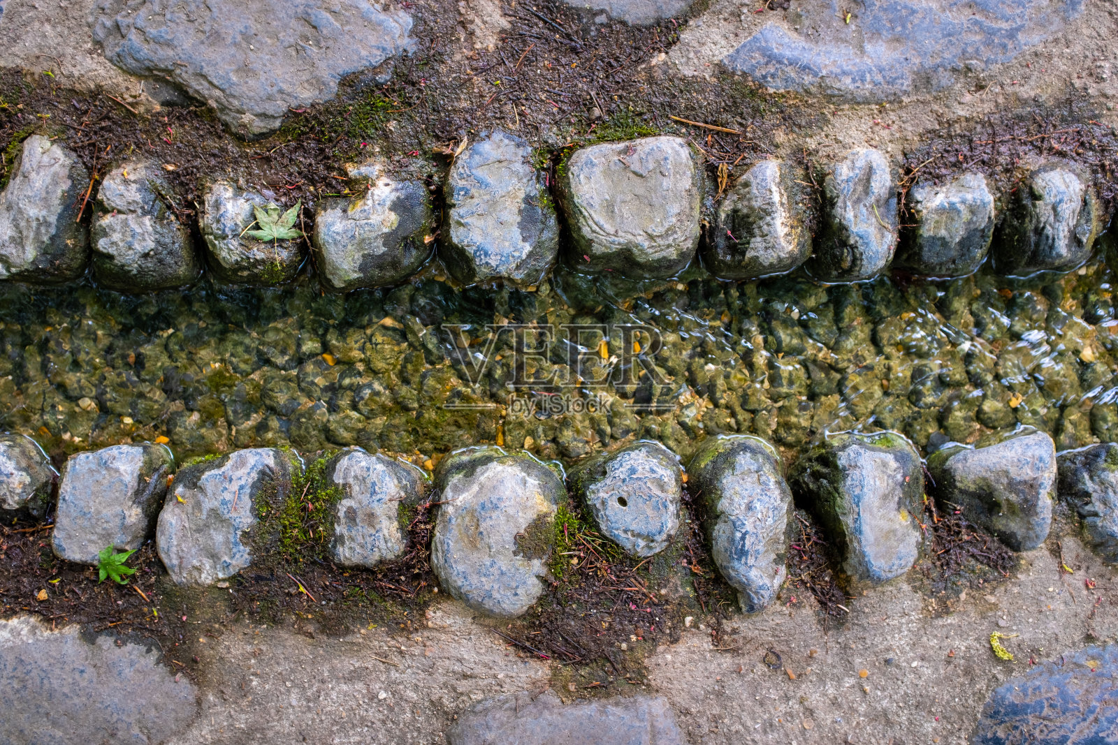 一条铺满石头的小溪流照片摄影图片