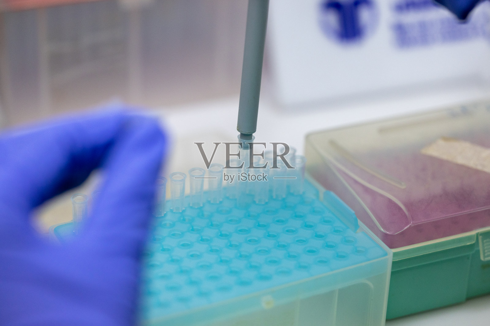 聚合酶链反应和琼脂糖凝胶电泳是应用于生物化学的一种凝胶电泳方法。照片摄影图片