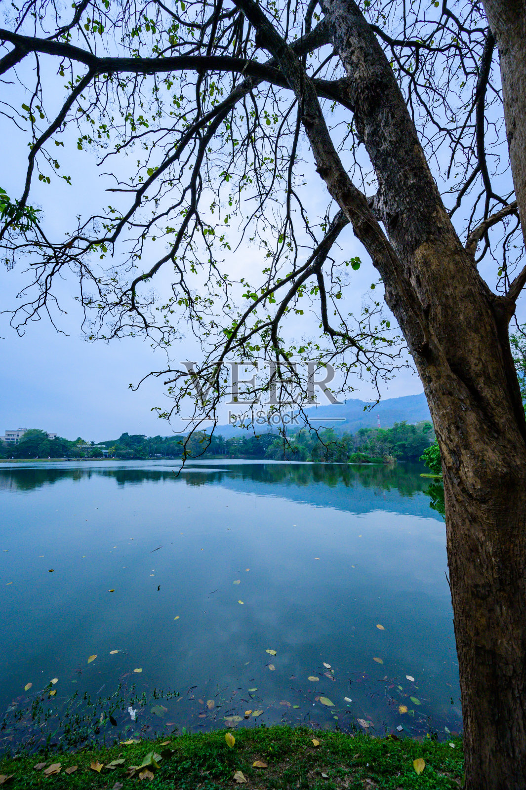 清迈省的昂考水库照片摄影图片