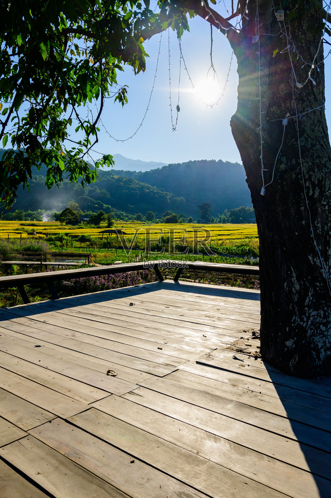 花园观景平台照片摄影图片