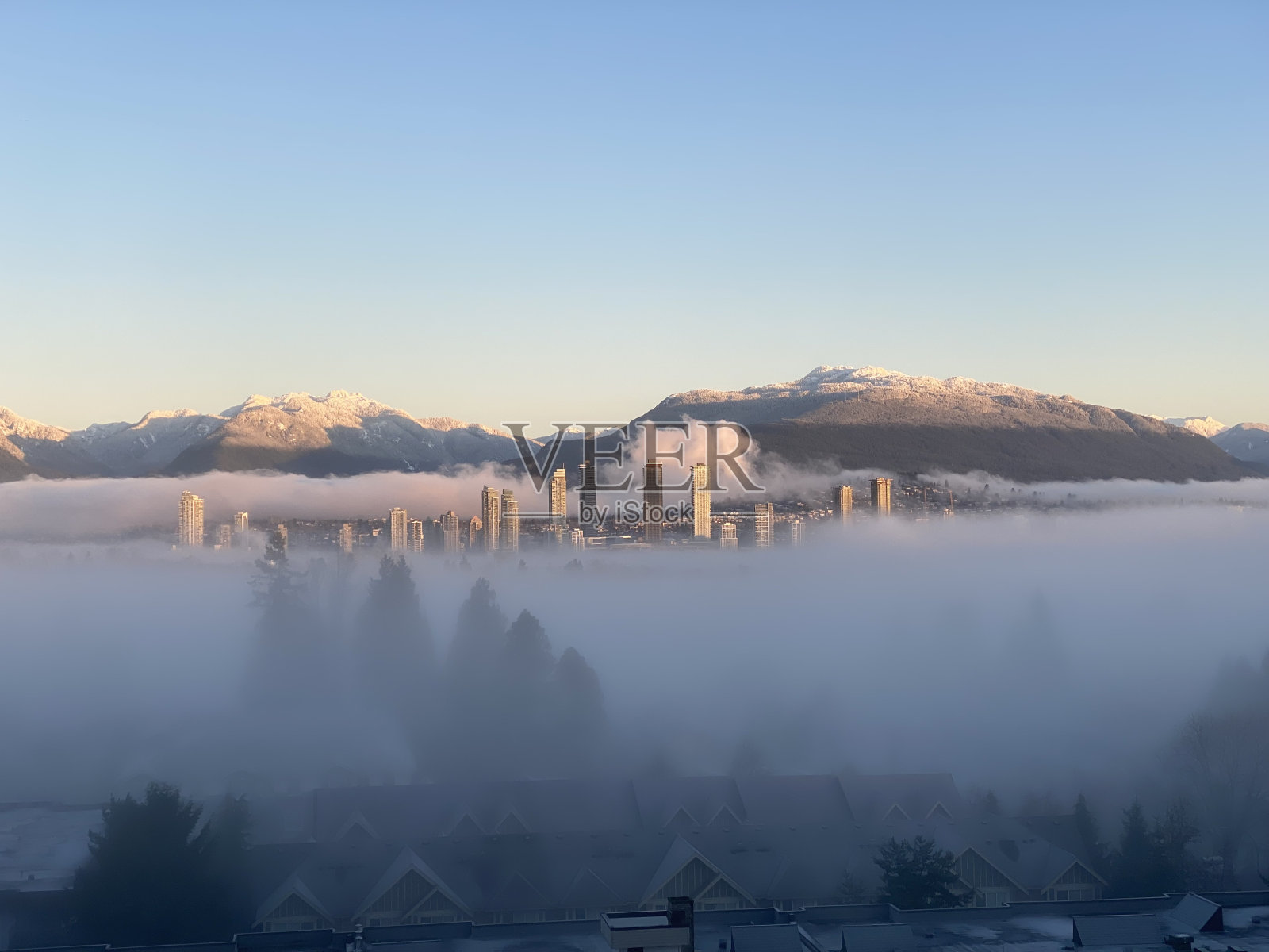 多雾的早晨照片摄影图片