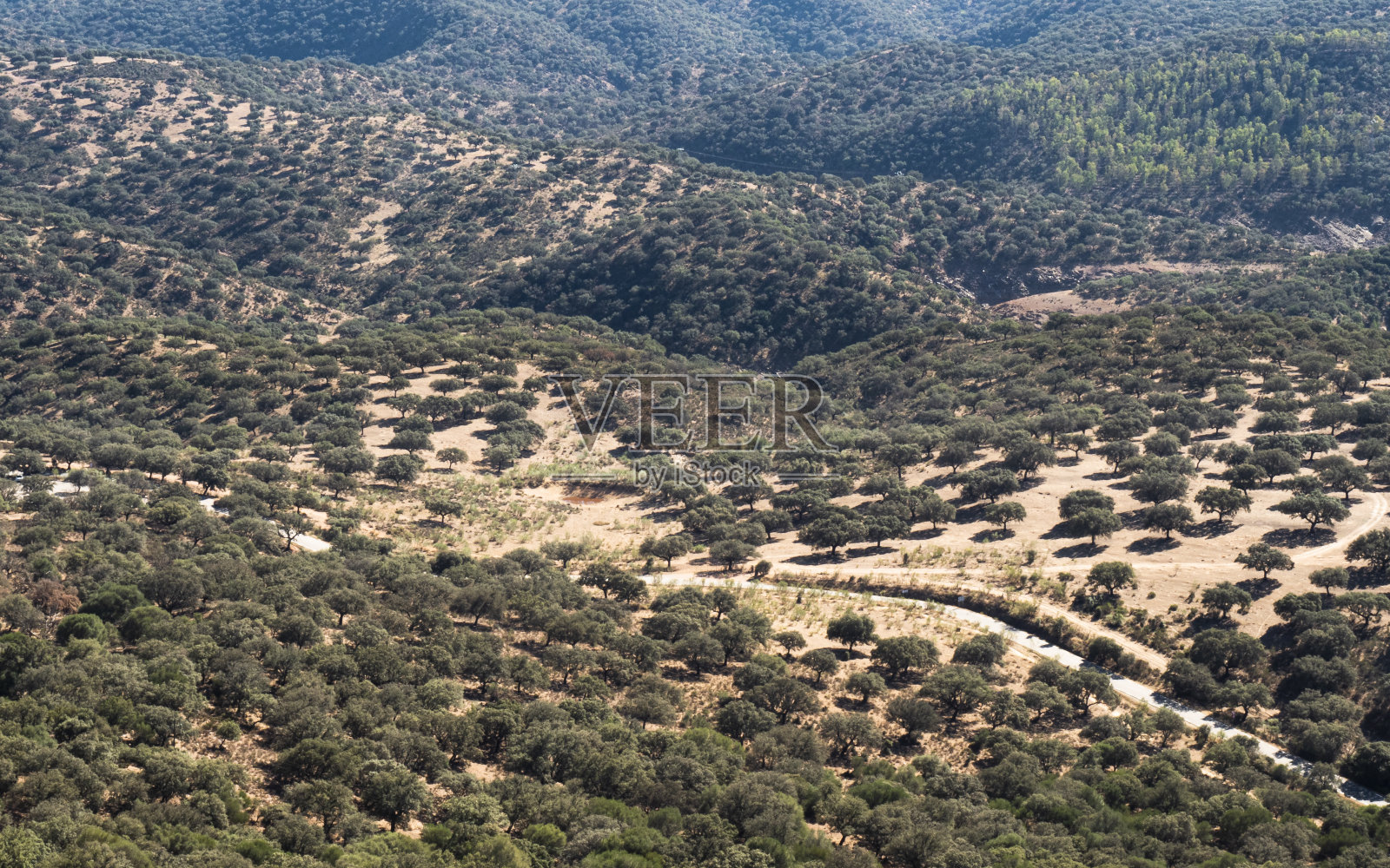 Monfragüe National Park.照片摄影图片