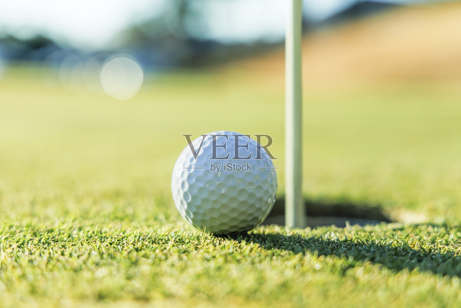 高尔夫球场绿色与美丽的草照片摄影图片