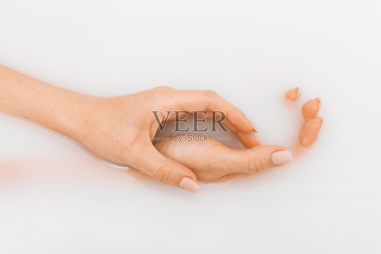 漂亮女人的指甲与美甲的特写。俯视图的女性手在牛奶浴。美丽的女性之手。手护理。手部皮肤美容照片摄影图片