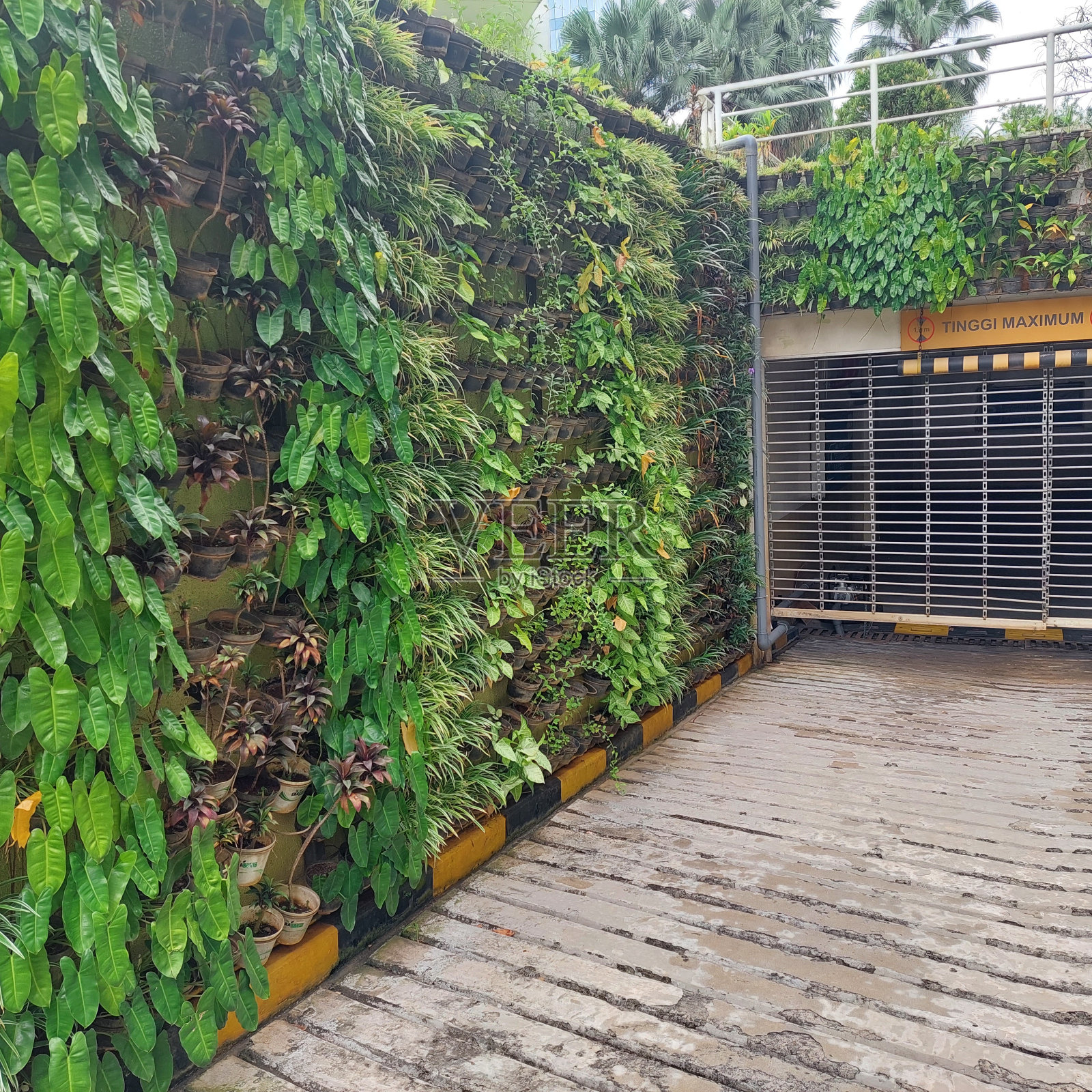 这条路通向建筑的地下停车场，酒店的商场，有一面墙的植物照片摄影图片