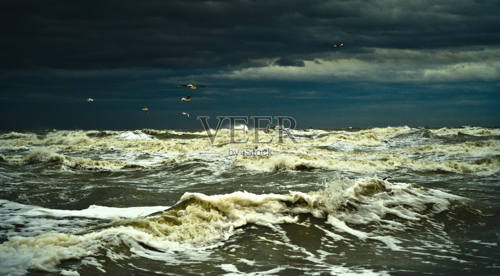 风暴和海鸥照片摄影图片