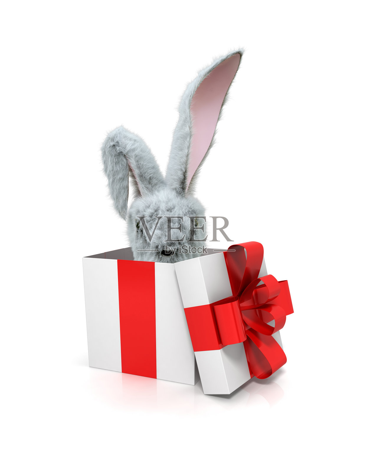 兔子出来的礼物在白色背景- 3d渲染照片摄影图片
