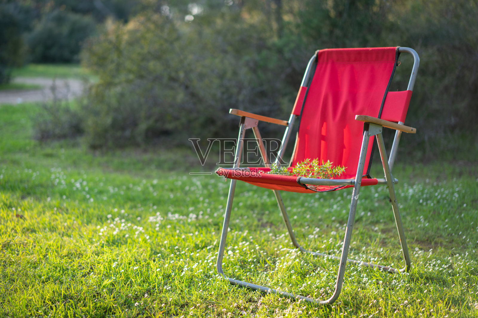 树林里孤独的露营椅照片摄影图片