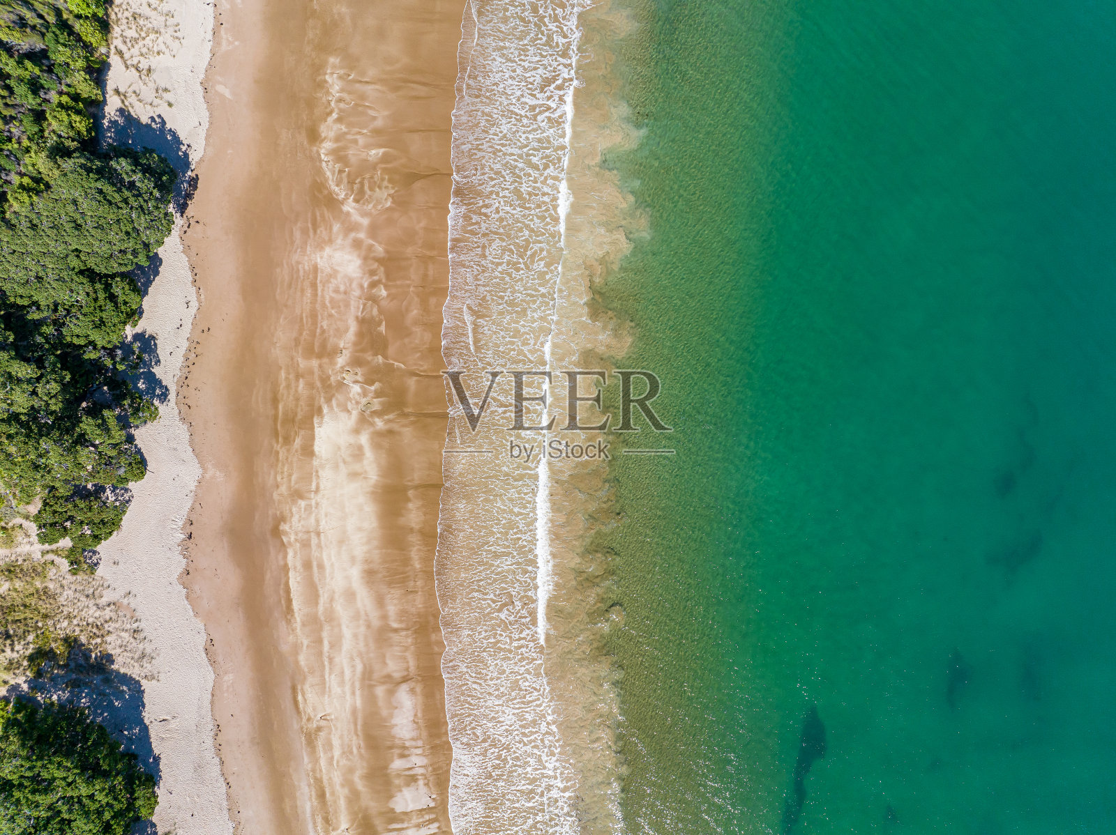 新西兰北岛的空中海岸线照片摄影图片