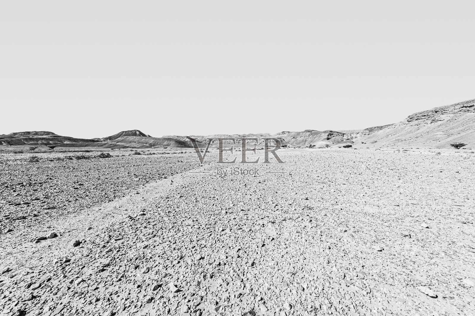 沙漠的孤独和绝望照片摄影图片