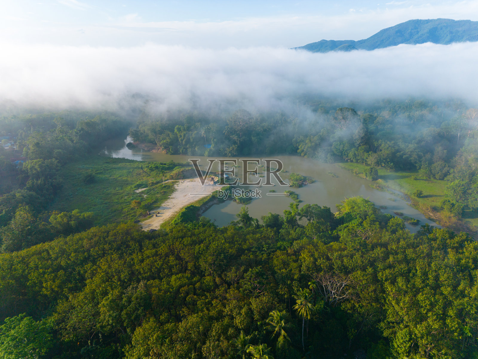 鸟瞰图早晨热带雨林绿树河与雾照片摄影图片
