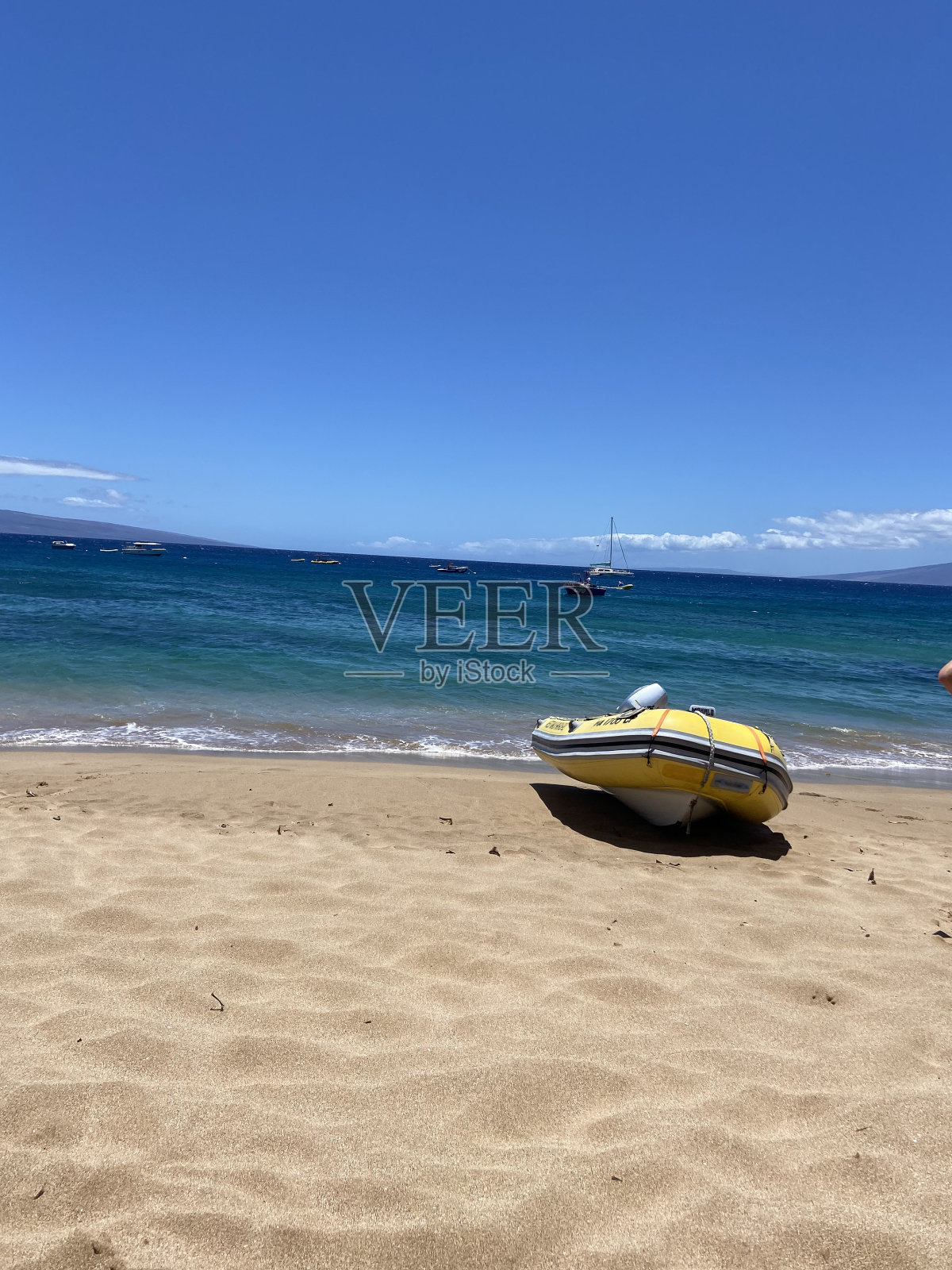 海洋生活和爱情生活照片摄影图片