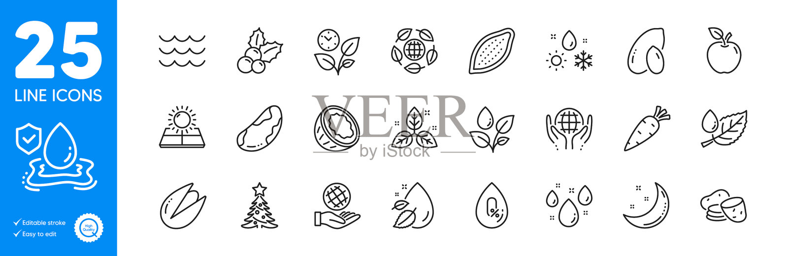 大纲图标集叶子巴西坚果和胡萝卜图标素材