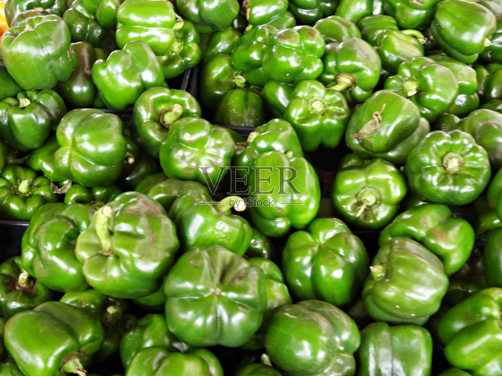 青椒@ 0.99美元/磅。照片摄影图片