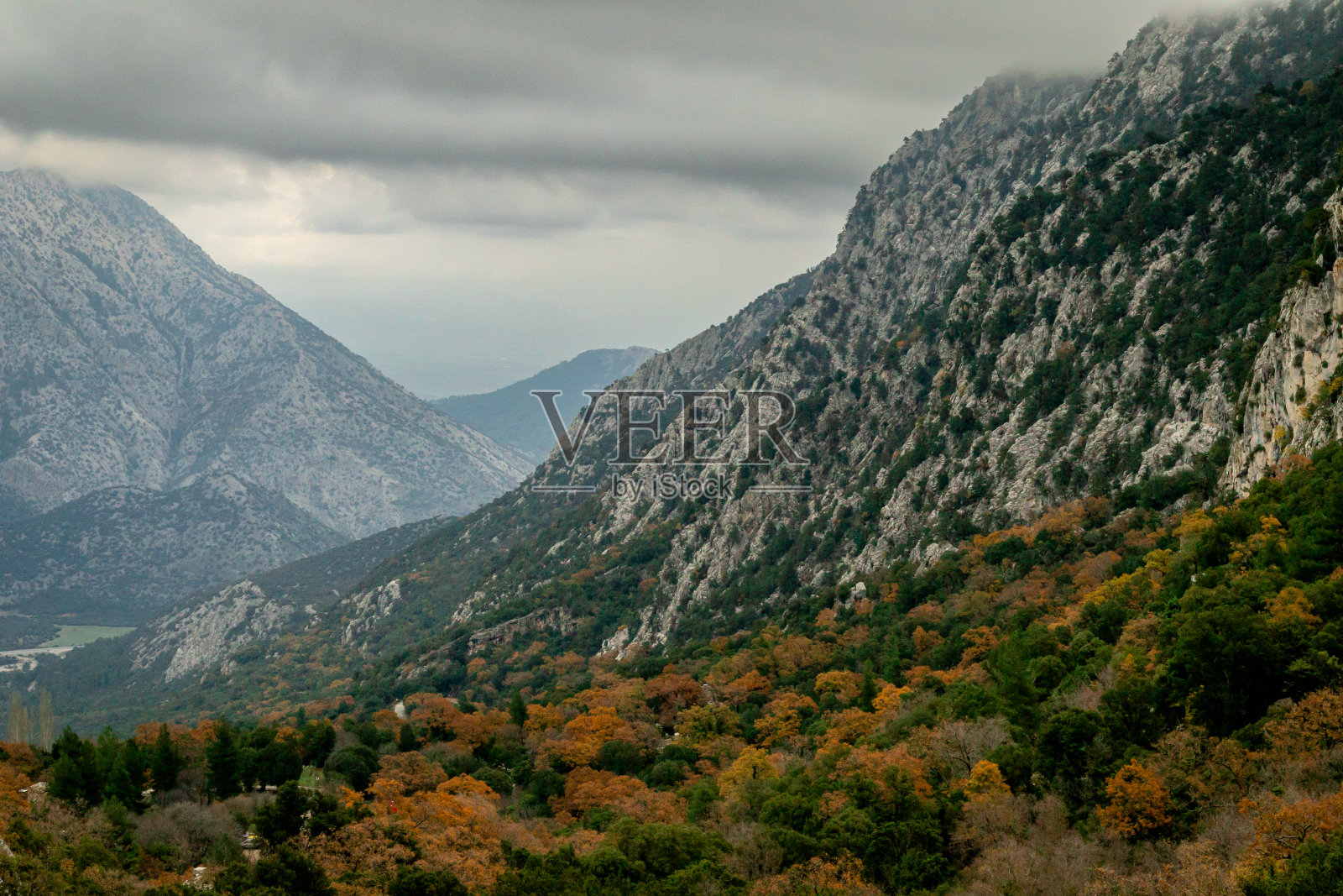 特梅索斯国家公园，树木和树叶，山照片摄影图片