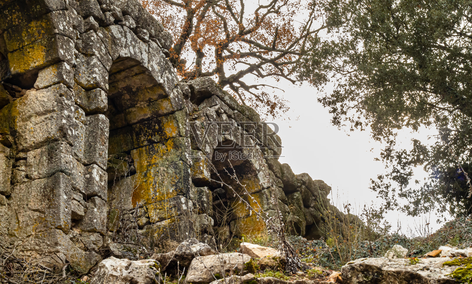 特梅索斯国家公园，树木和树叶，山照片摄影图片