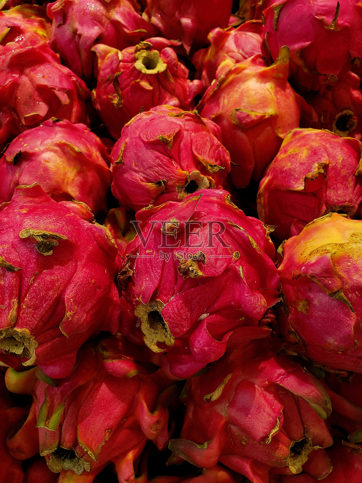 红火龙果照片摄影图片