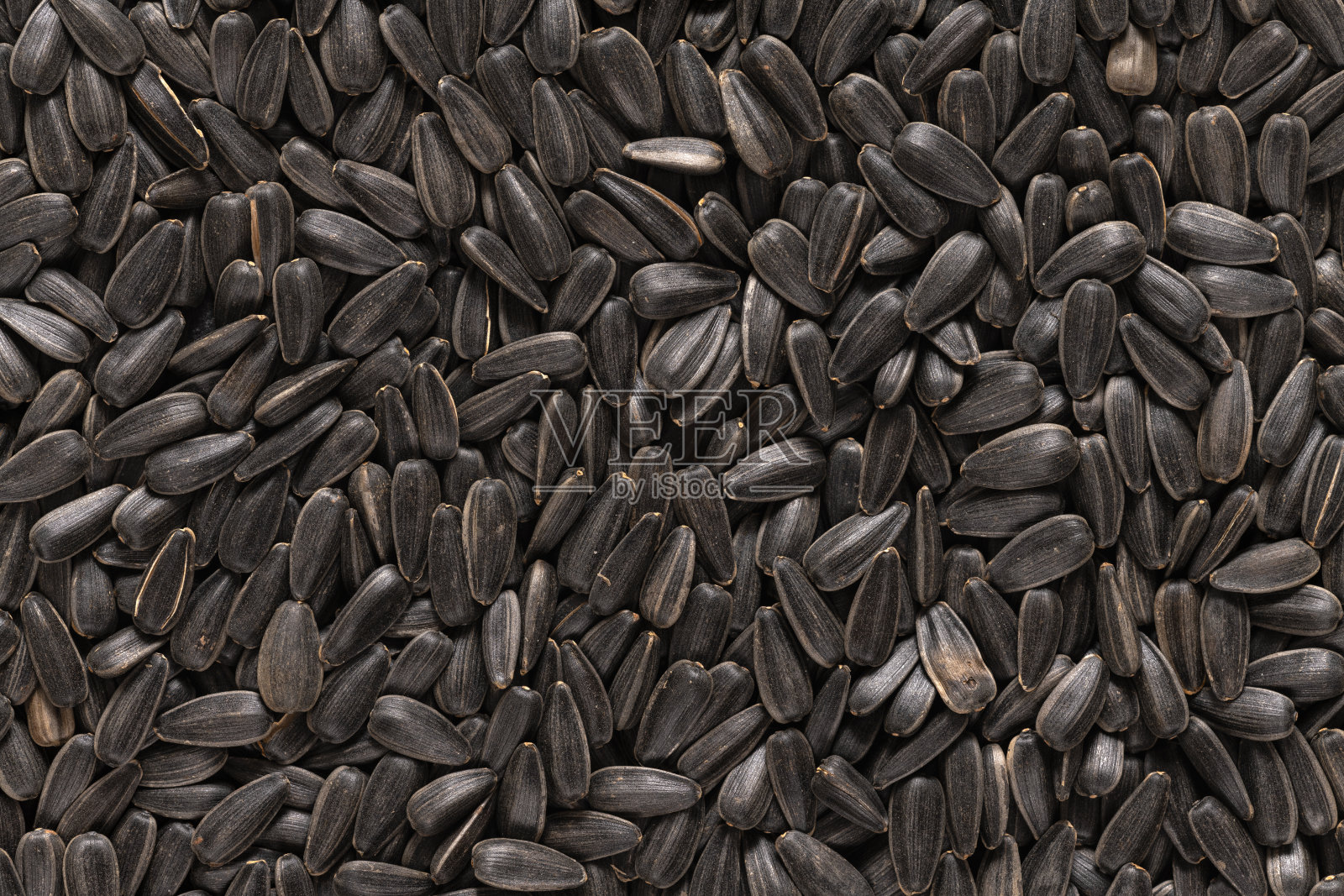黑葵花籽照片摄影图片