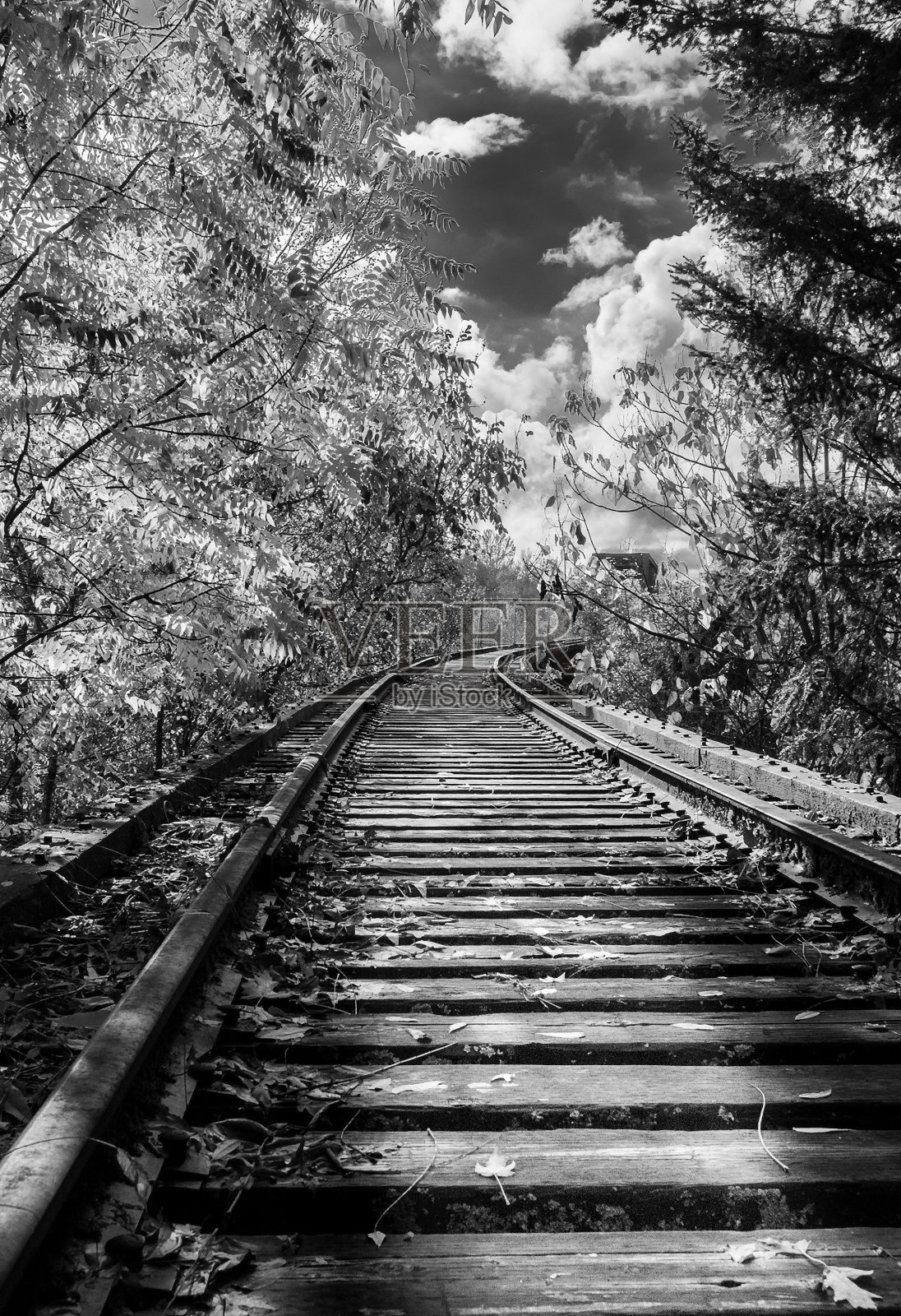 树木之间的木制铁路的垂直灰度镜头照片摄影图片