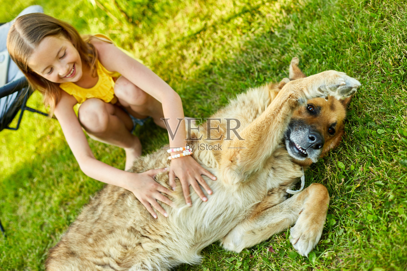 可爱的女孩和老狗在公园的草地上享受夏日照片摄影图片
