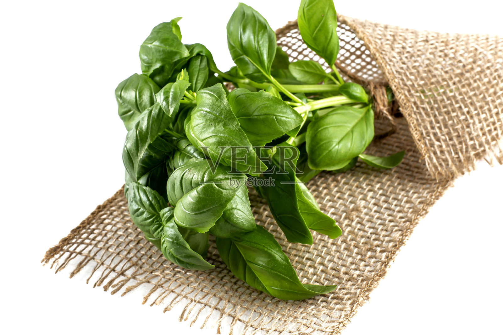 新鲜罗勒，白底袋装照片摄影图片